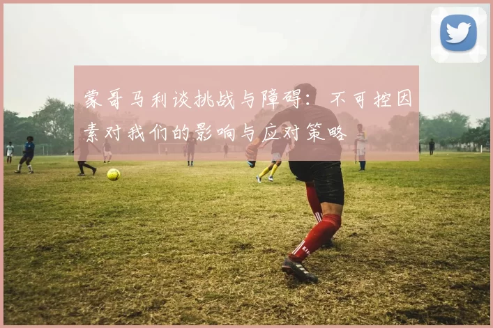 蒙哥马利谈挑战与障碍：不可控因素对我们的影响与应对策略